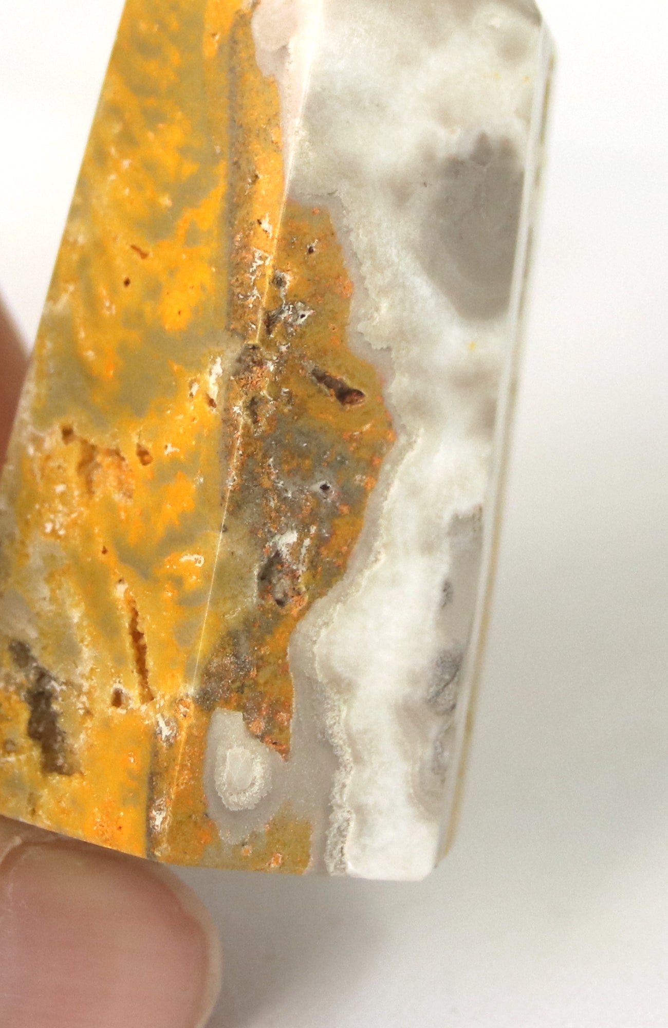 Bumble Bee Jasper Generator